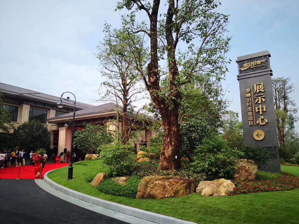 1612756564104429.jpg 07.jpg