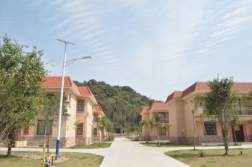 1622120362927051.jpeg 5.jpeg