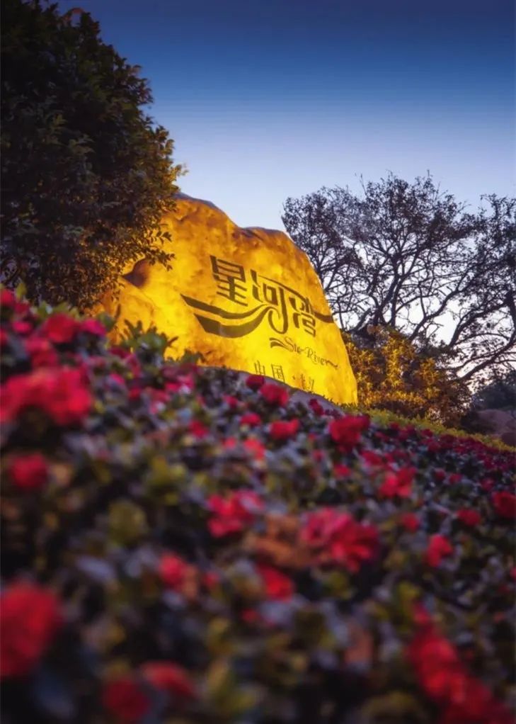 1652863514480881.jpg 1.jpg