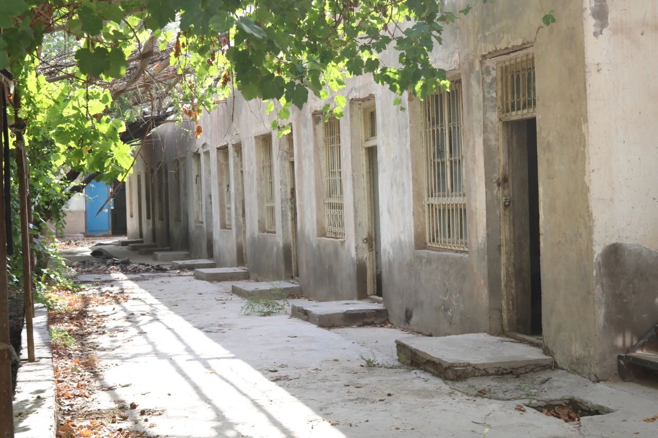 1690451013555435.jpg 1690451013555435.jpg