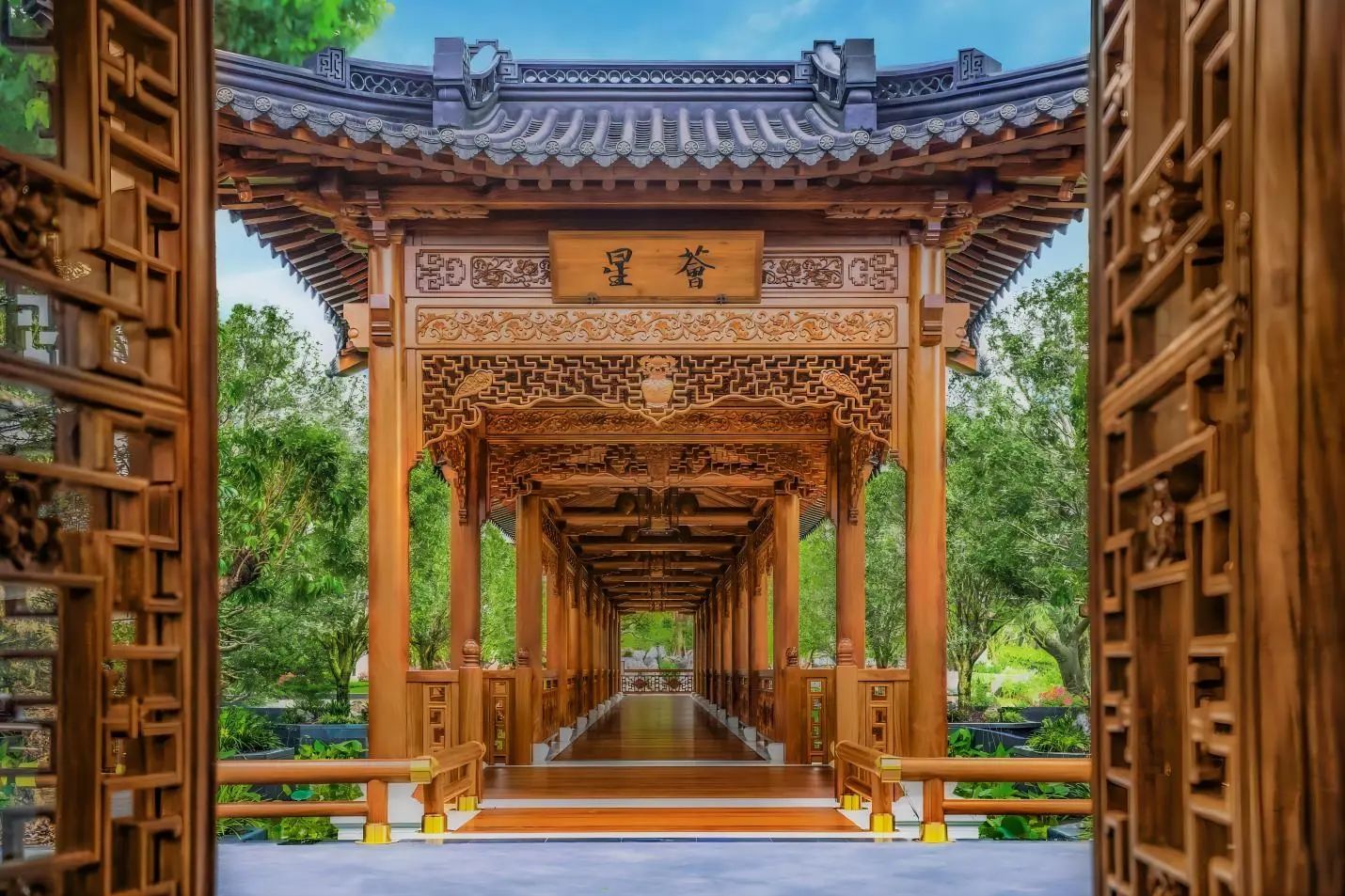 1708391755184175.jpg 1708391755184175.jpg