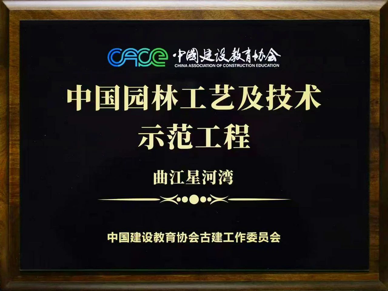 1731656605647091.jpg 1731656605647091.jpg