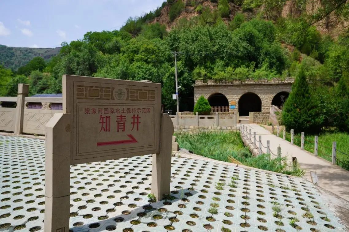 1750990397690516.jpg 1750990397690516.jpg